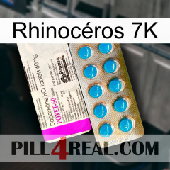 Rhinocéros 7K new07